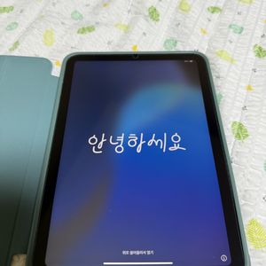 아이패드 미니6