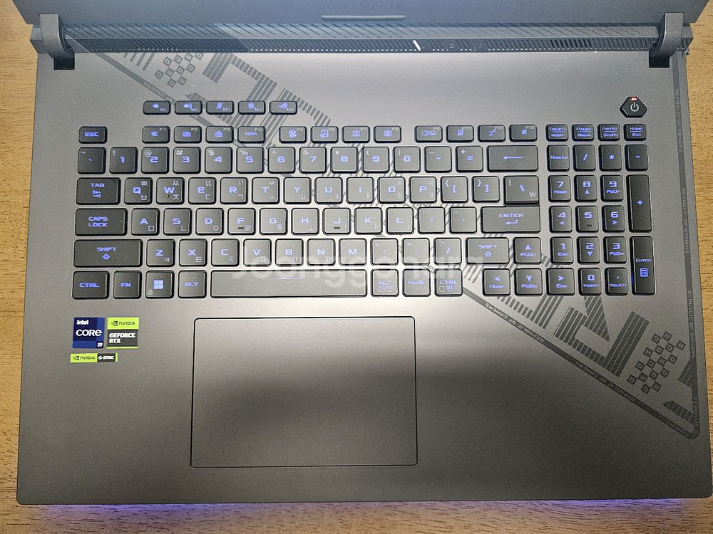 아수스ROG STRIX G18, RTX4070 18인치--4