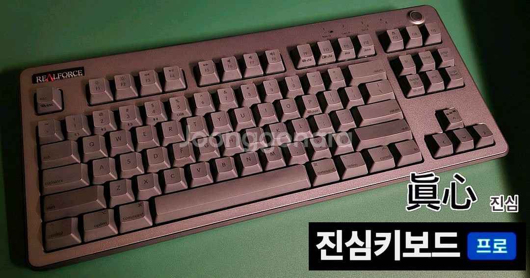 리얼포스 r3 for MAC 토프레 저소음45g 키보드--1