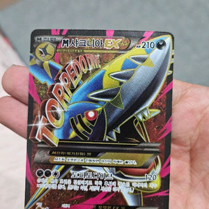 포켓몬카드 고대팩 메가 샤크니아 EX 카드 팝니다