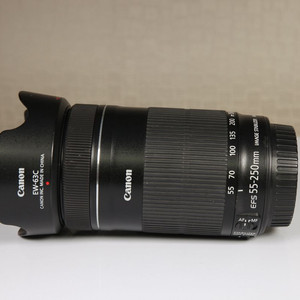 캐논 EF-S 55-250mm IS STM 렌즈