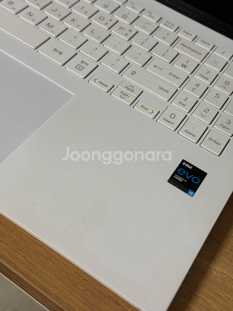 LG 그램 16--2