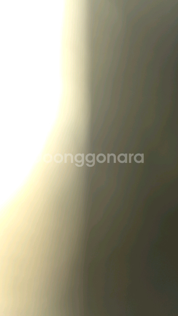 입양하세요 펫구--0