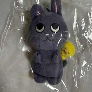 라이즈 원빈 토냥덕 10cm 인형1차 택포