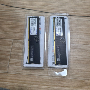 페트리어트 ddr5