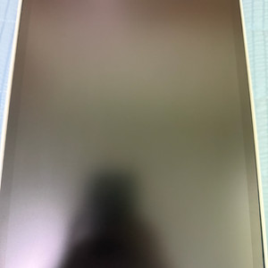 아이패드 프로 11 4세대 스페이스 그레이