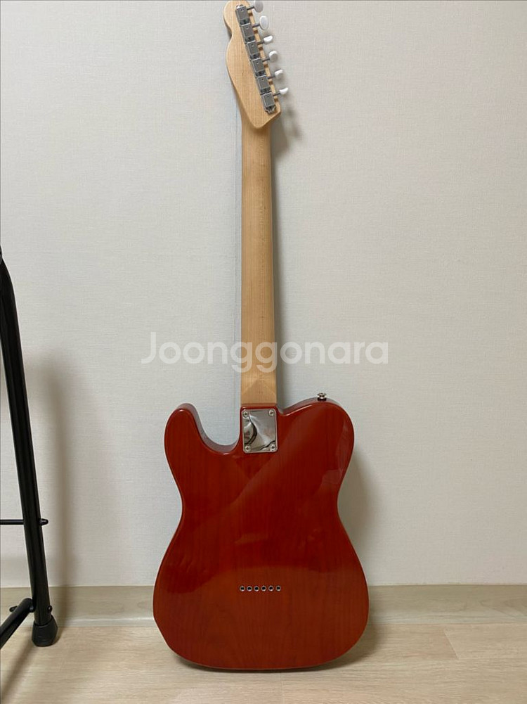 두두리 커스텀 텔레, 사이키델리즘 카피 일렉기타--5
