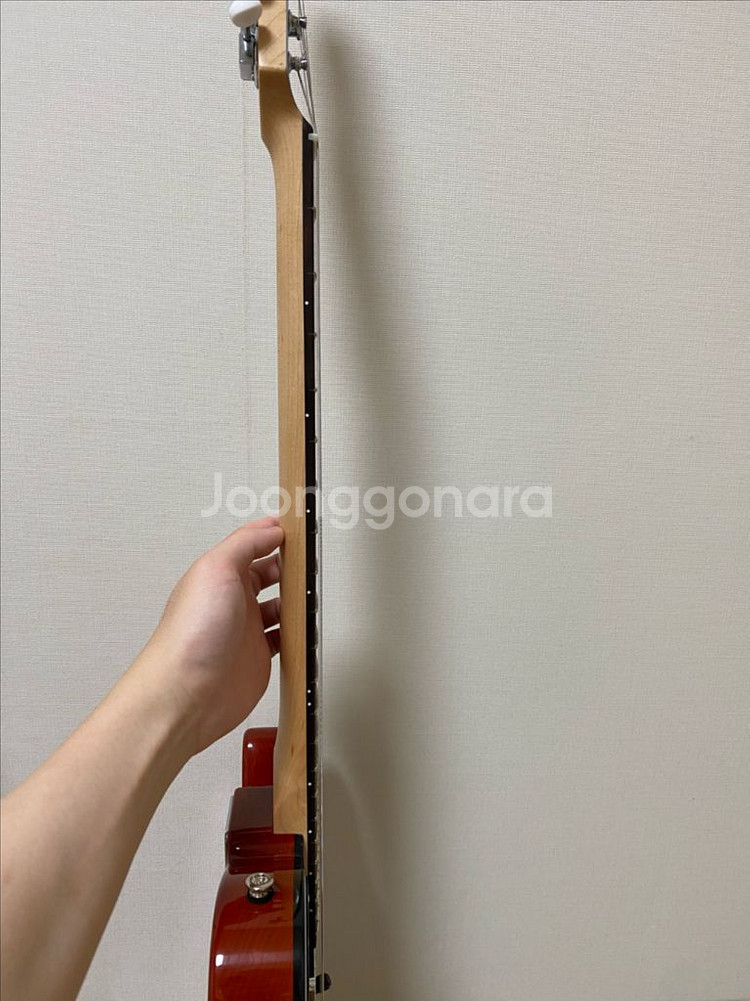 두두리 커스텀 텔레, 사이키델리즘 카피 일렉기타--7