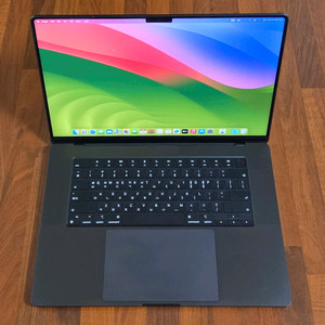 애플 맥북 프로16 M4 24GB 1TB 14core