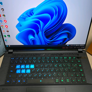 게이밍 노트북 i9 14900 글카 4070