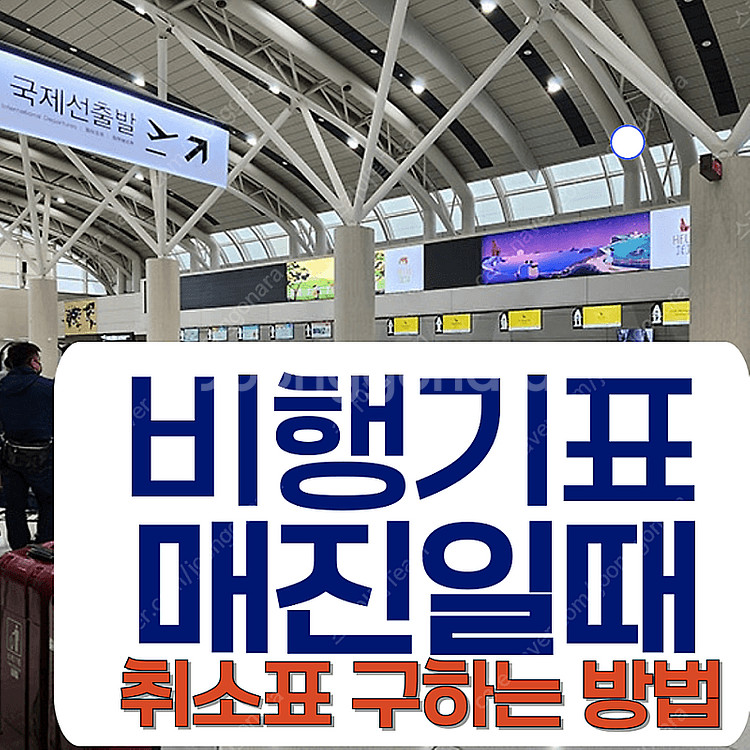 성수기 제주도 비행기표 매진? 당일도 빠르게--0