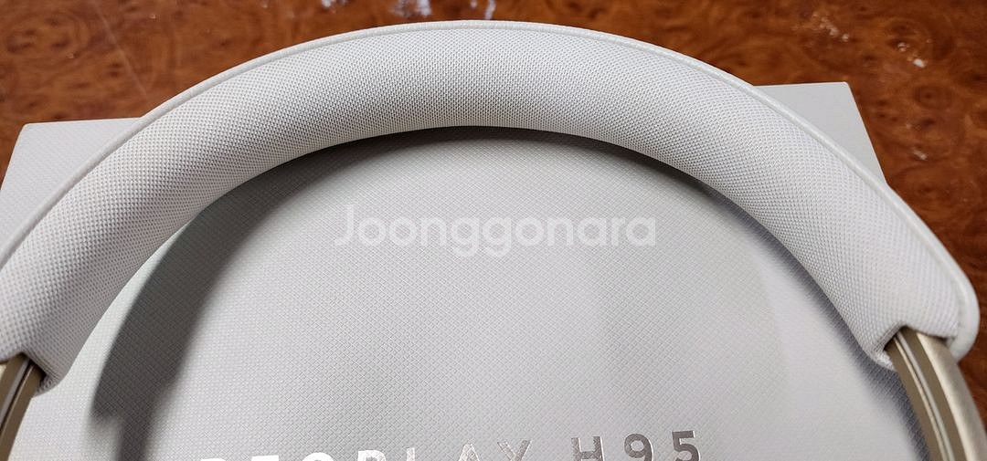 뱅앤올룹슨 h95 골드--2