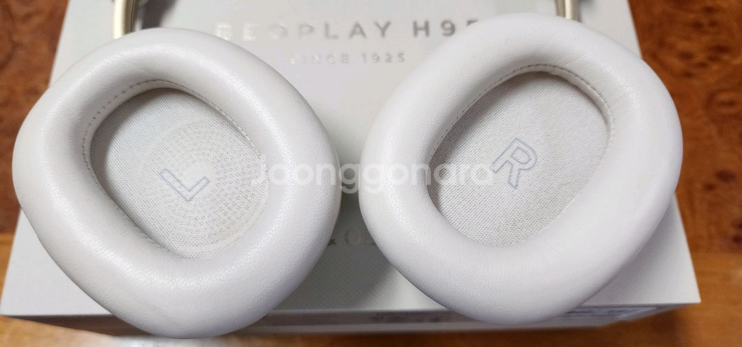 뱅앤올룹슨 h95 골드--4