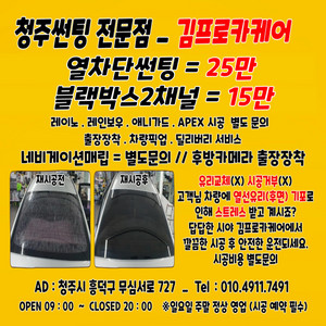 자동차 열차단 썬팅