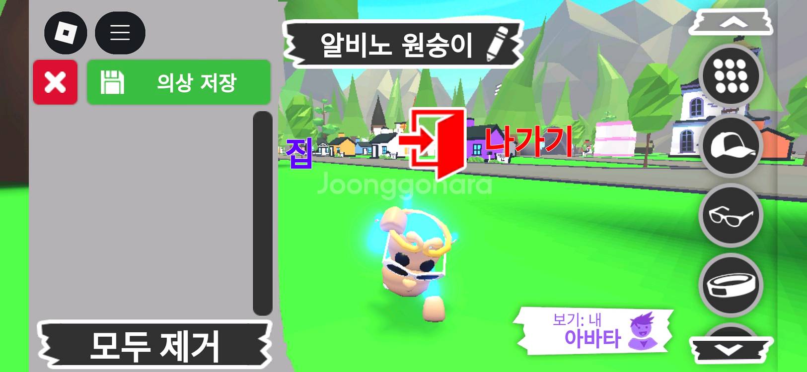 입양하세요 펫 메가네온 알비노 원숭이(메알몽)판매합니다--0