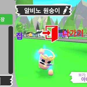 입양하세요 펫 메가네온 알비노 원숭이(메알몽)판매합니다