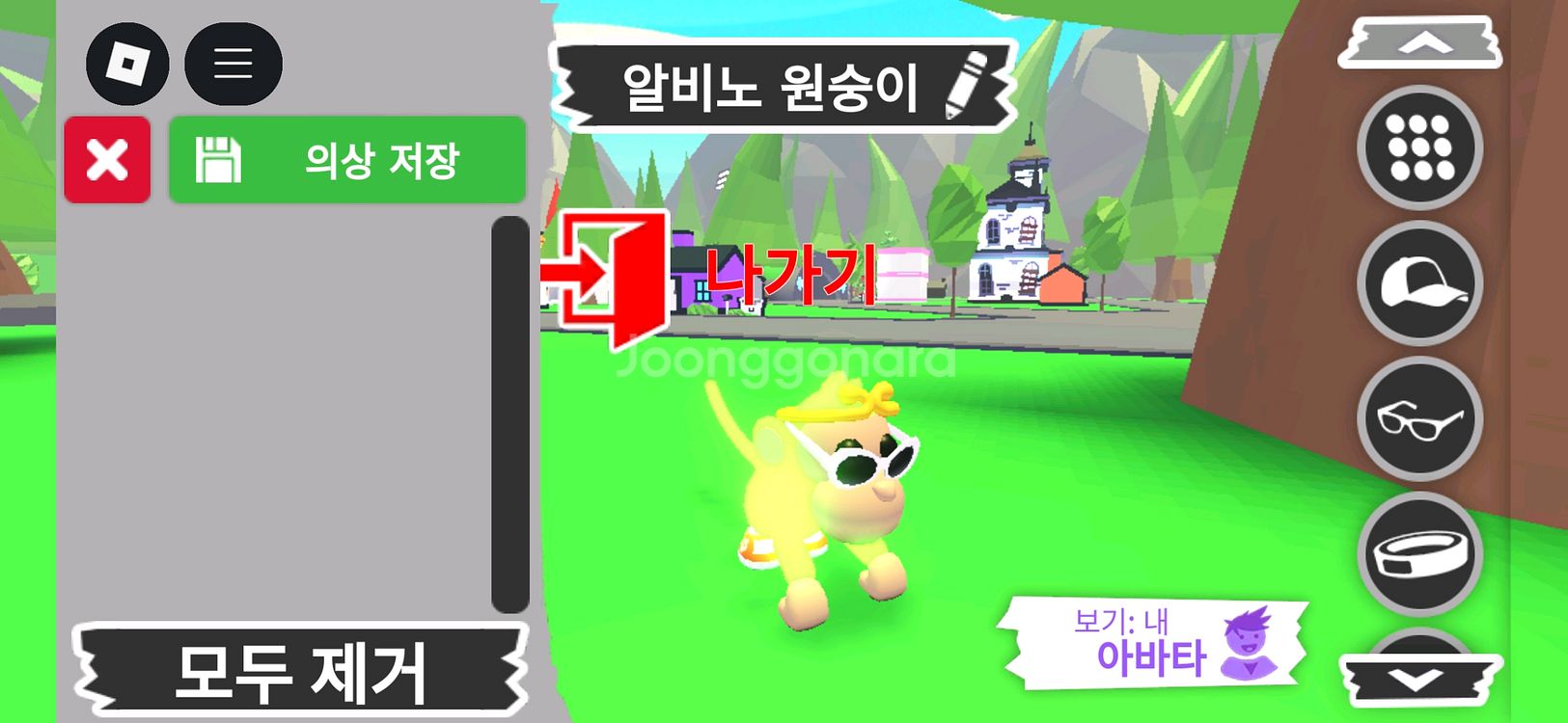 입양하세요 펫 메가네온 알비노 원숭이(메알몽)판매합니다--1