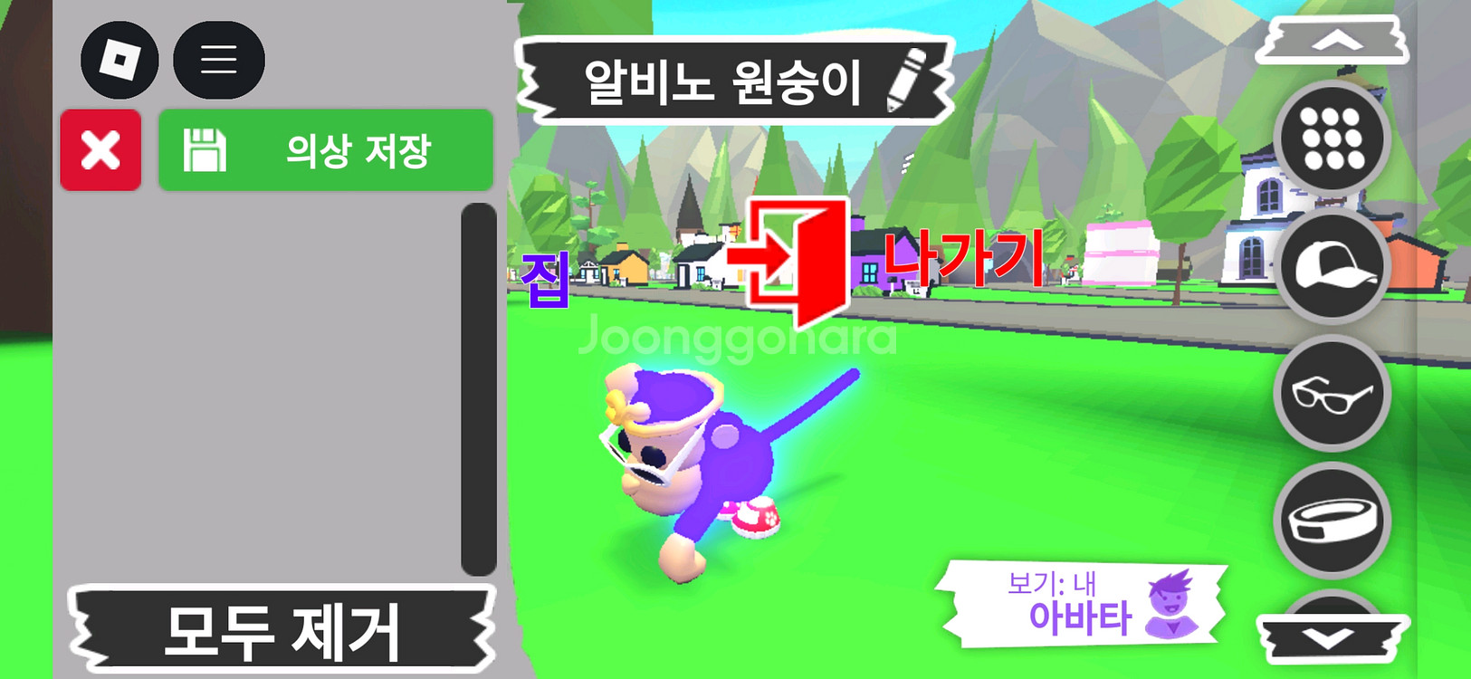 입양하세요 펫 메가네온 알비노 원숭이(메알몽)판매합니다--2