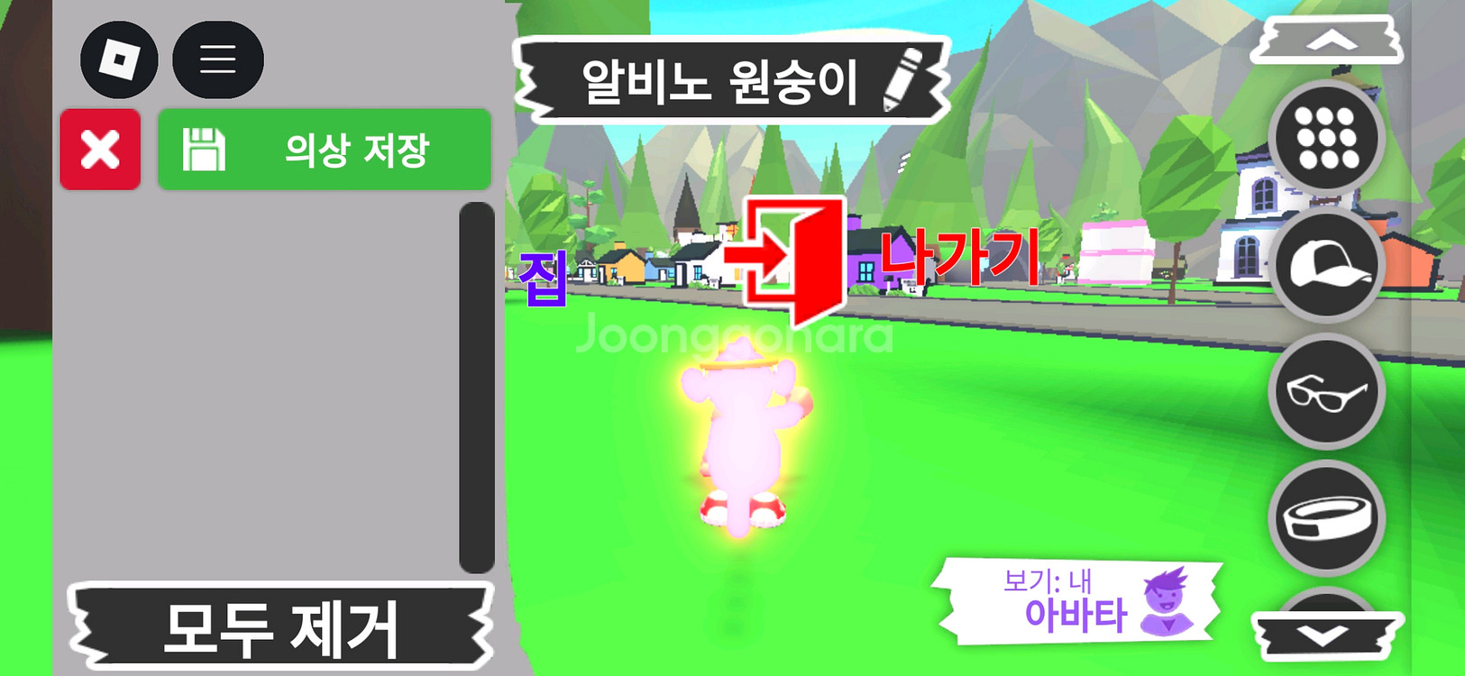 입양하세요 펫 메가네온 알비노 원숭이(메알몽)판매합니다--3
