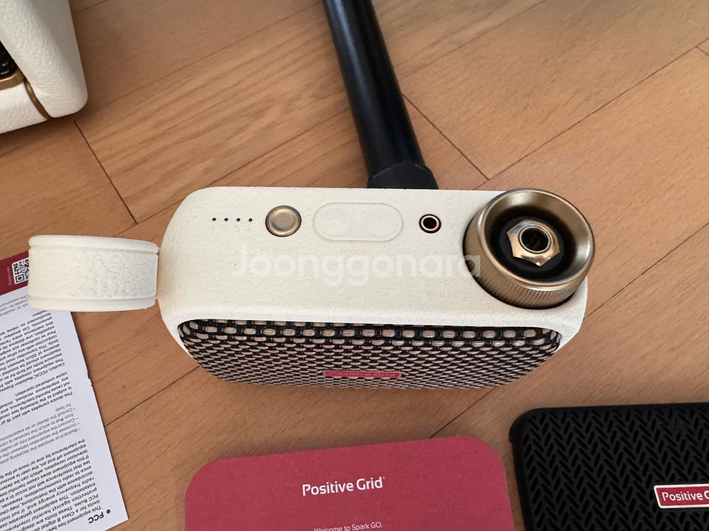 Positive Grid Spark GO--1