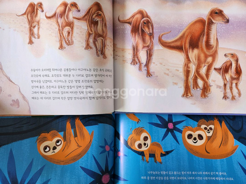 웅진 한걸음 먼저 과학탐구 40권--1