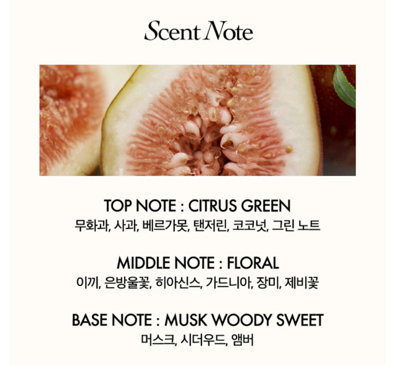 세이리 폴인휘그 향수 50ml--3