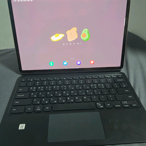 갤럭시탭 s7 플러스 5G 256GB