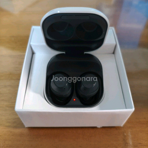 갤럭시 버즈 fe