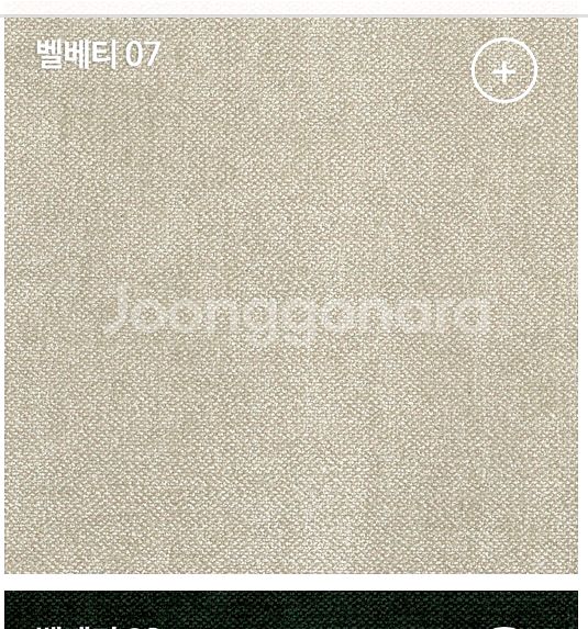 잭슨카멜레온 잭슨카멜레온소파 불손소파 bolson--2