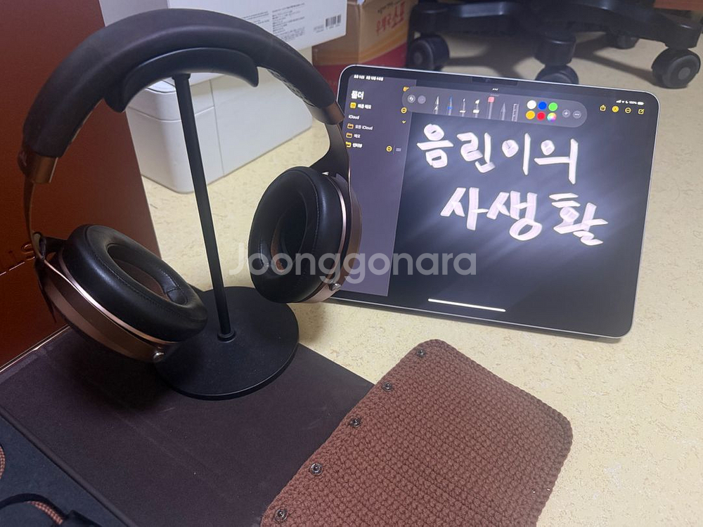 (8.17까지만 판매) 포칼 스텔리아, 커케 2종--1