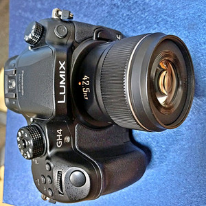 파나소닉 루믹스 DMC-GH4 카메라
