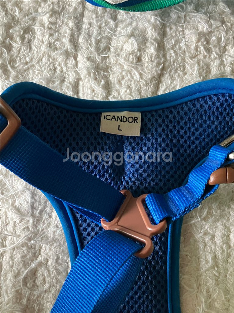 icandor 하네스--1