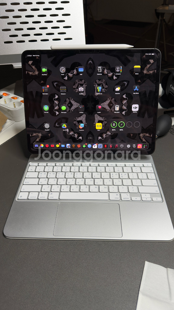 아이패드 프로 m4 13 512g 셀룰러(애캐플)--0