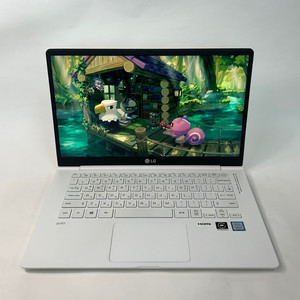 LG그램 2019 14인치 RAM12GB 초경량 노트북