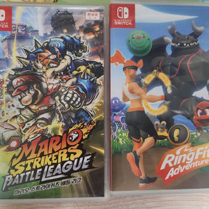 닌텐도스위치칩