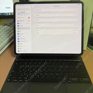 아이패드 프로 m4 13인치 256기가 스블 와이파이