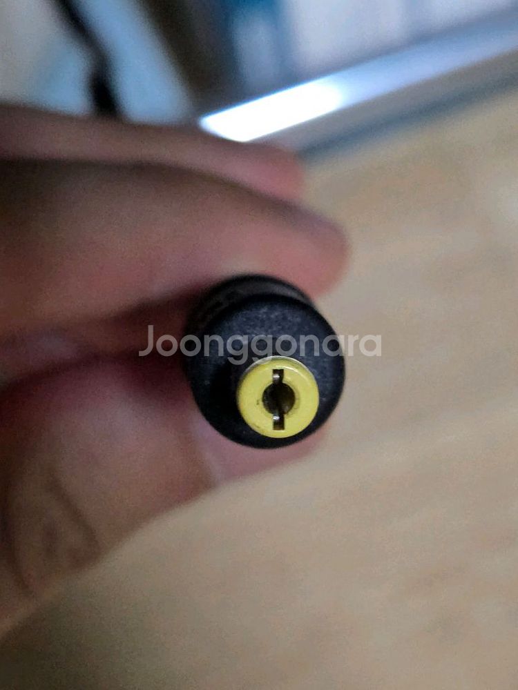 48V 랑케레이시 XT750 전기 자전거 배터리 충전기--2