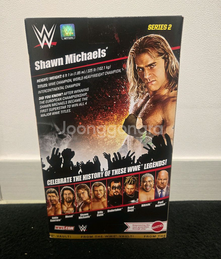 WWE from the vault2 레슬링 피규어--1