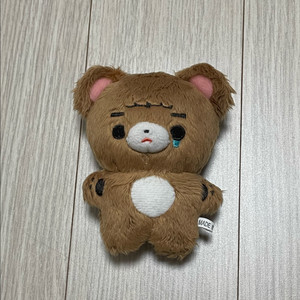 만양보호소 곰제