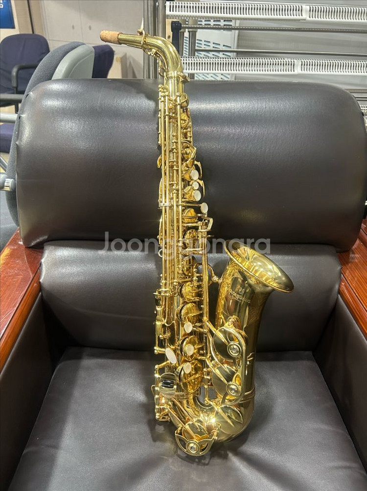 야나기사와 991 알토 색소폰--0