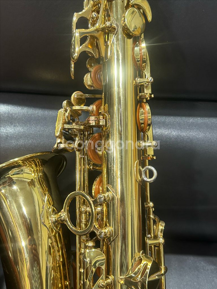 야나기사와 991 알토 색소폰--5