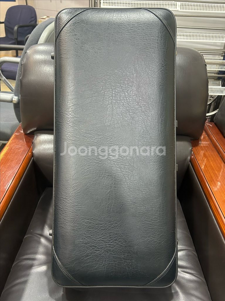 야나기사와 991 알토 색소폰--9