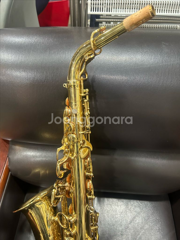 야나기사와 991 알토 색소폰--4