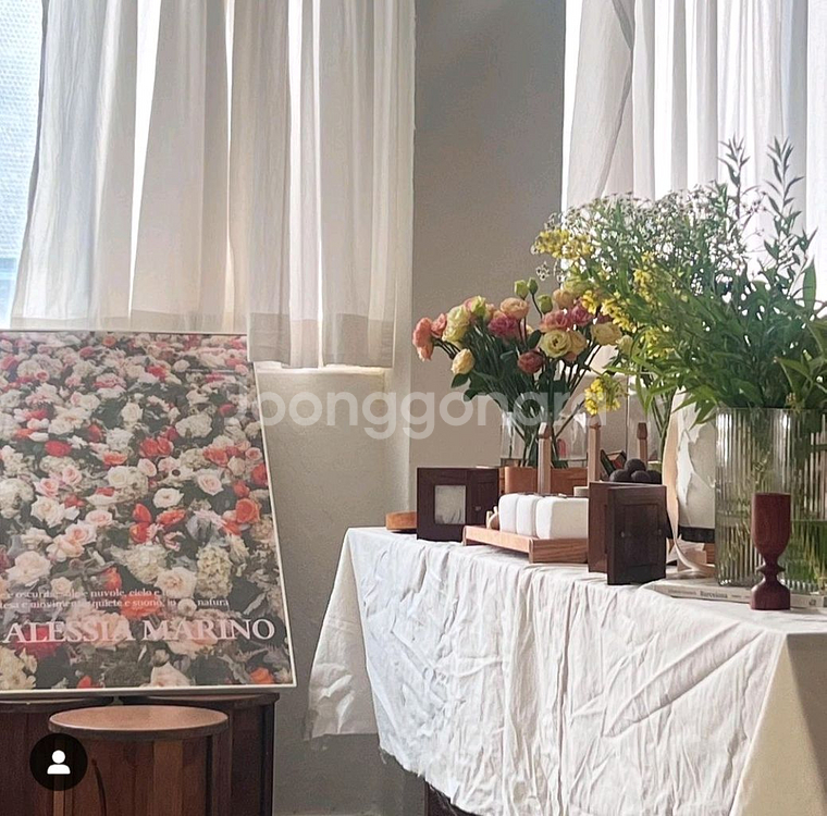 렌탈스튜디오 폐업정리 물품 판매--0