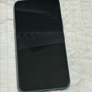 s22 256g 그린