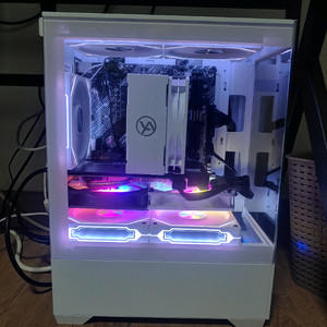 5600x 반본체