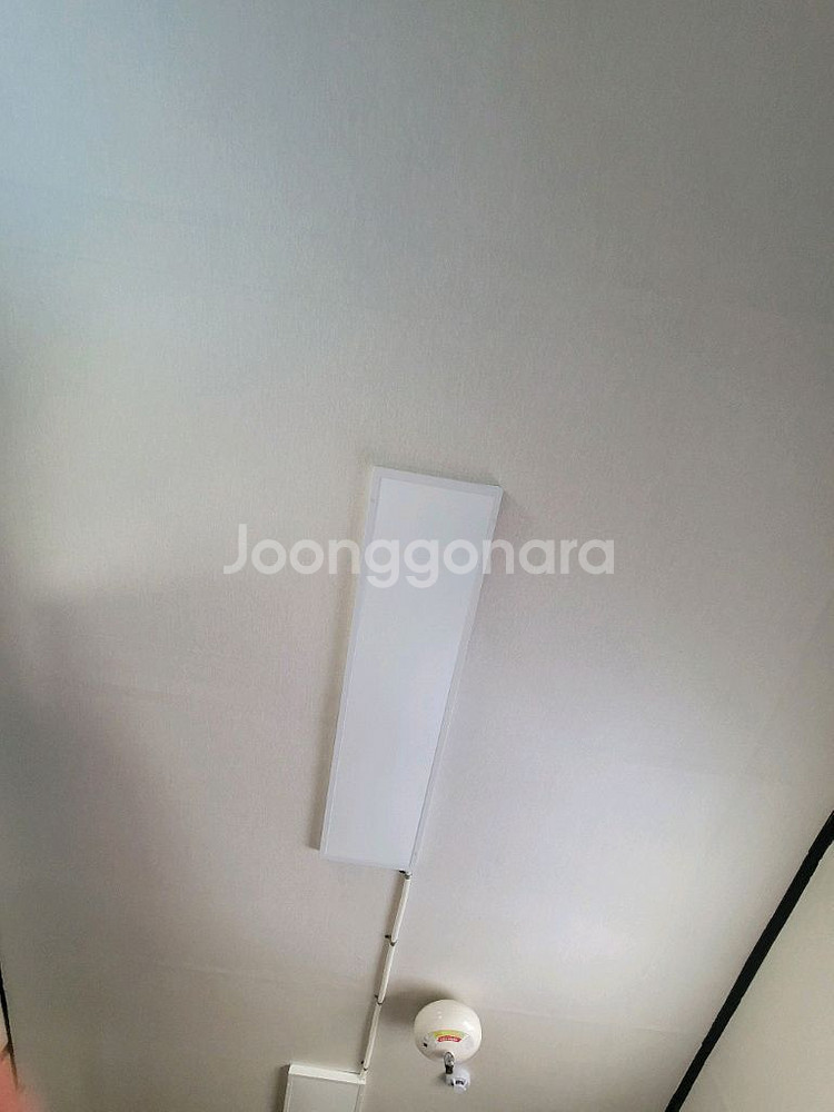 3*6컨테이너--3