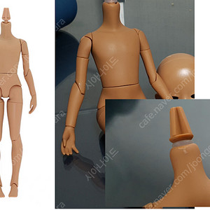 오비츠바디/안구/헤드