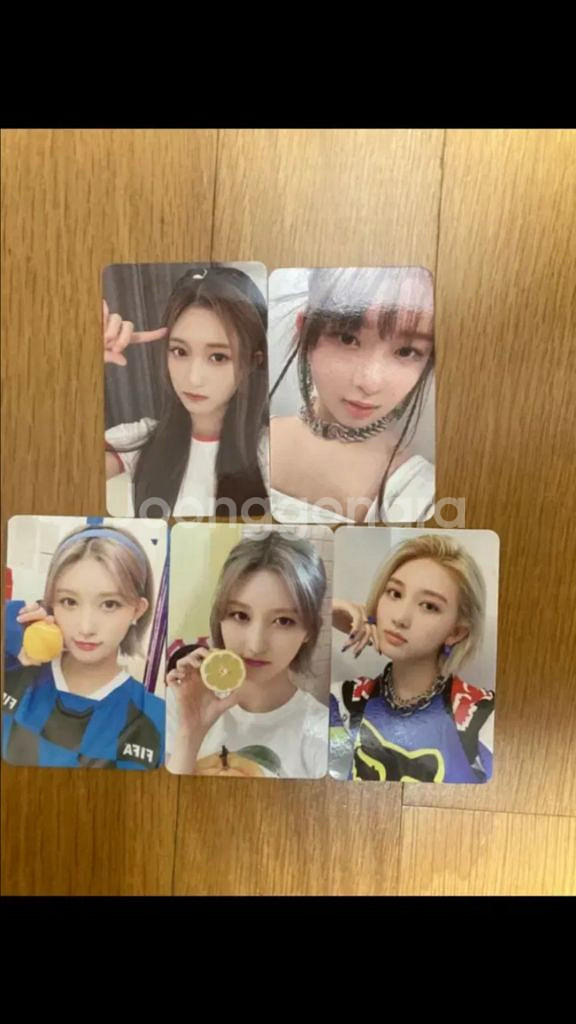 아이브 포카--0