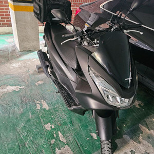 혼다 올뉴PCX 125 스쿠터 판매(매뉴얼 대차)